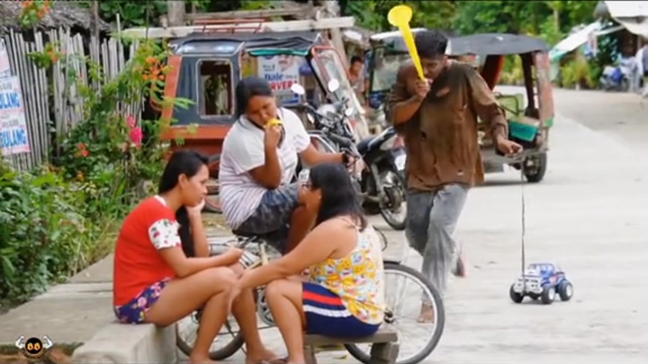 funny videos