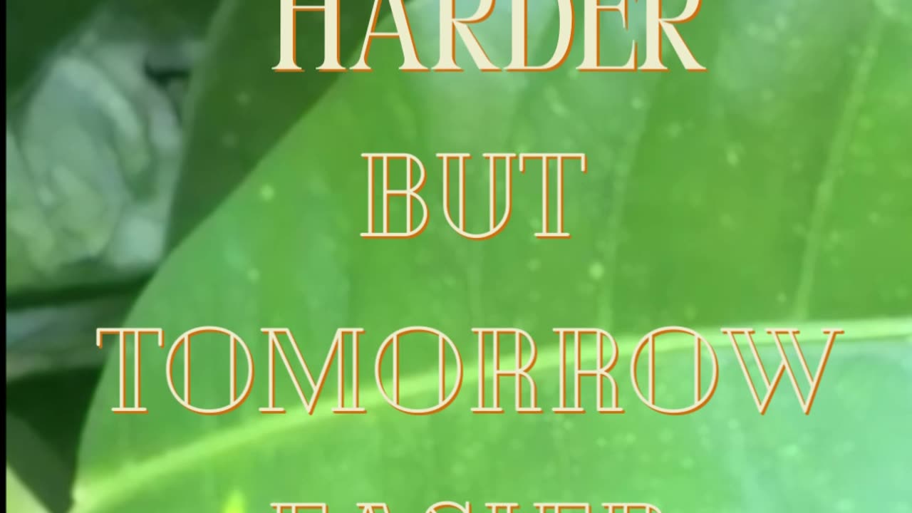 YOU HAVE TO STOP DOING this IF YOU WANT TO BE SUCCESSFU;