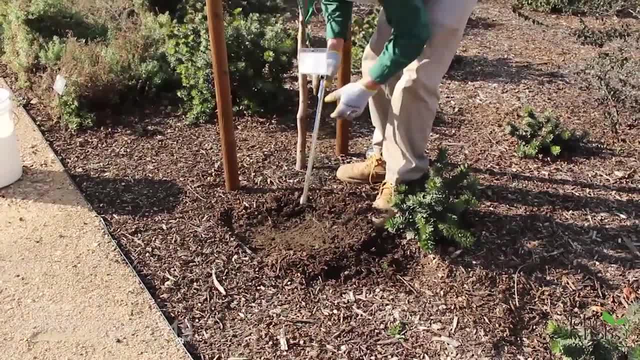 Tree Fresno Soil Rejuvenation