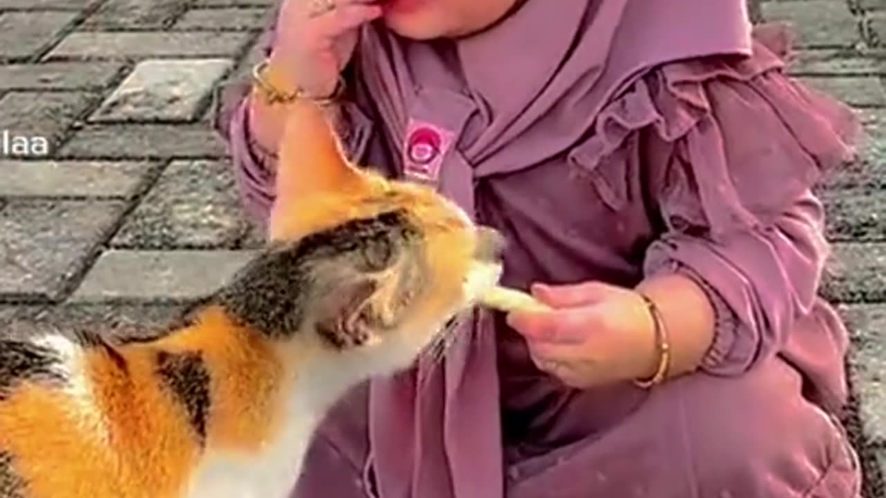 Cat and cute baby