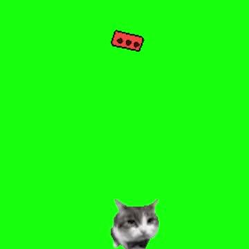 Cat Throwing a Brick | Green Screen
