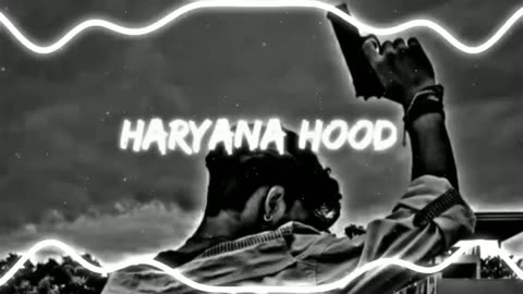 haryana hood (slowed+reverb) best song