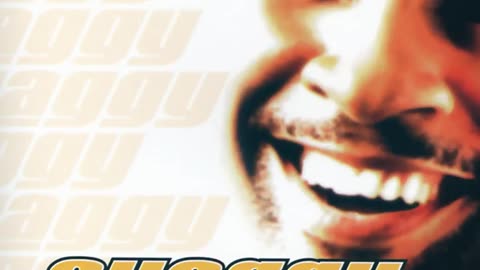 It Wasn't Me - shaggy