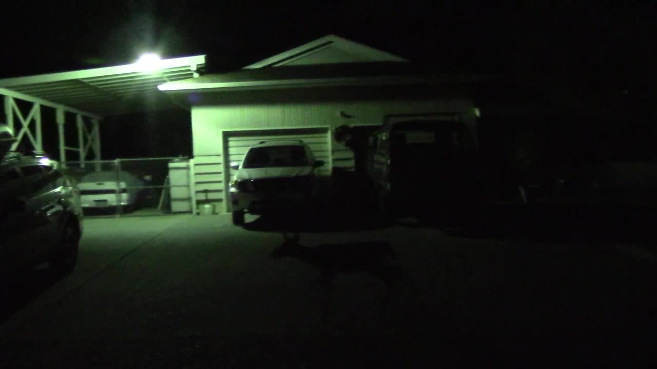 Watching Some Deer