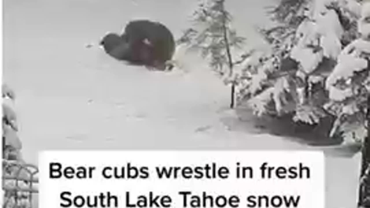 Good and funny videos