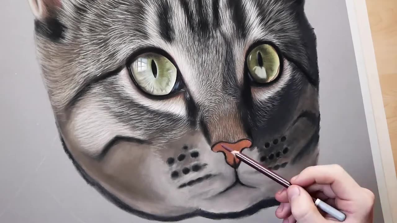 How to Draw a Highly Detailed CAT