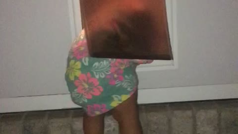 Kiddo Makes Escape Through Doggy Door