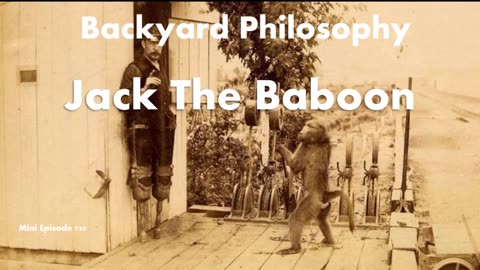 Jack the Baboon