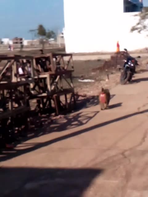 Snatches Woman’s Bag on Rock of Gibraltar