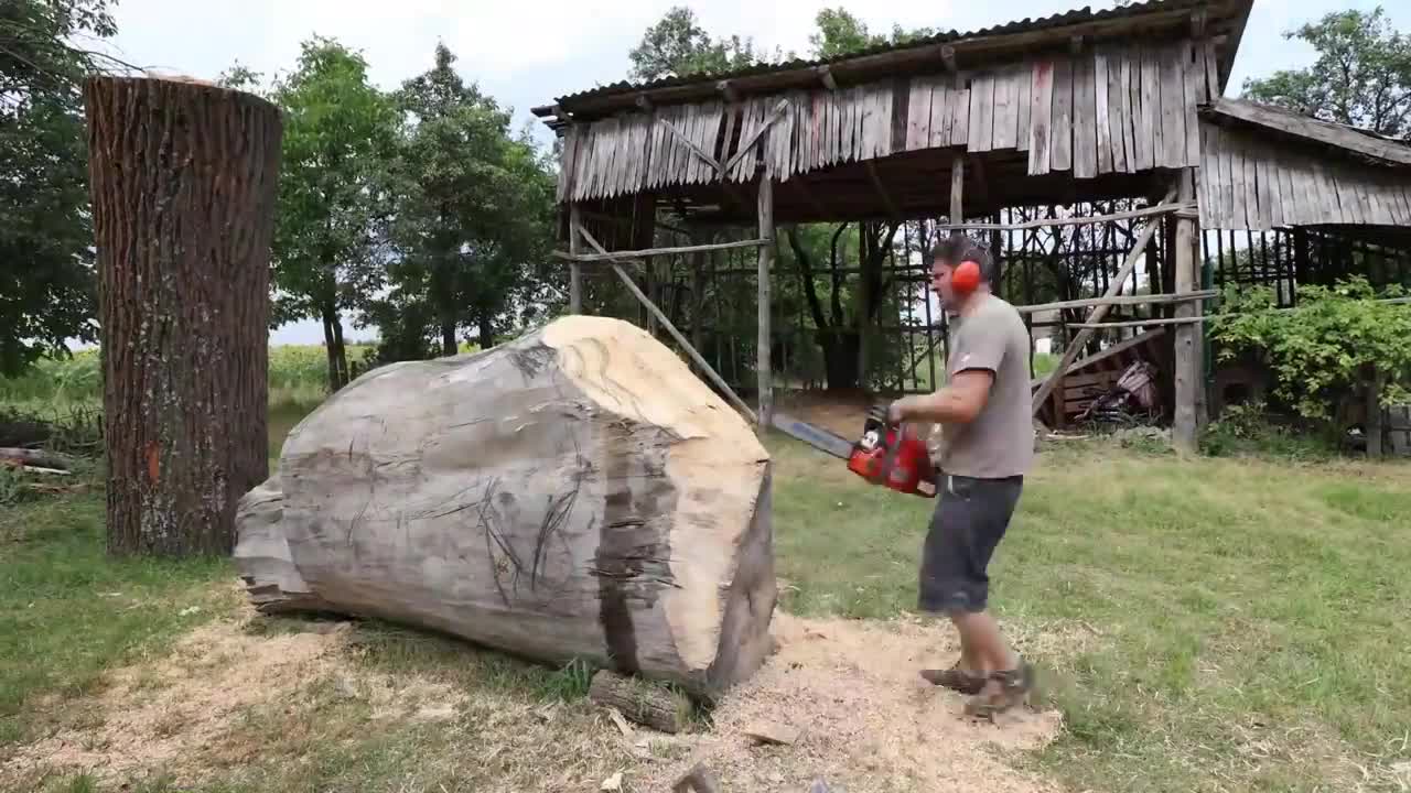 REAL SIZE WOODEN BEAR, amazing chainsaw wood carving