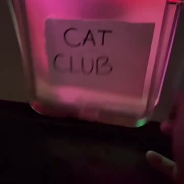 Club Cat