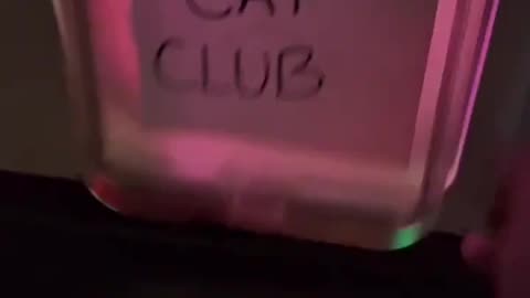 Club Cat