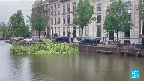 Storm Poly tore down trees and upended vehicles in the Amsterdam region