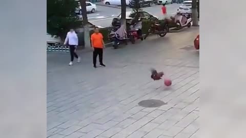 funny animal-Chicken playing basketball