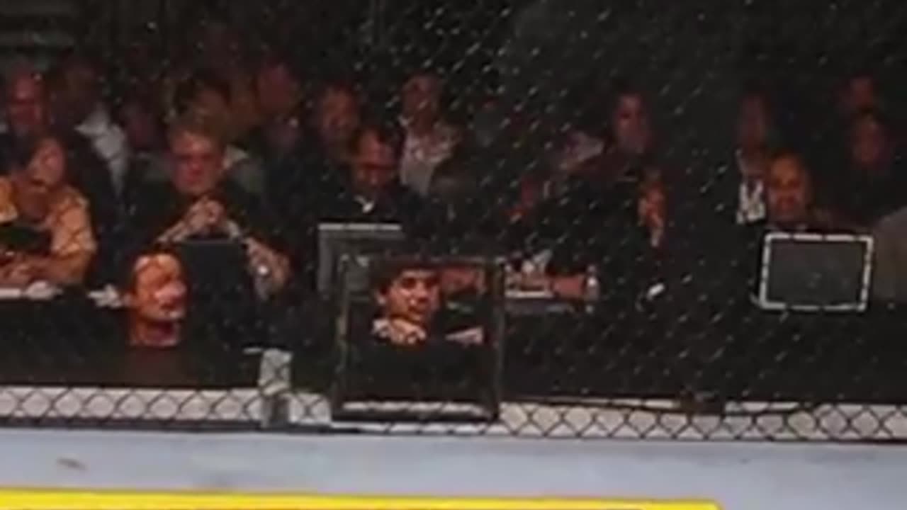 Ufc fight