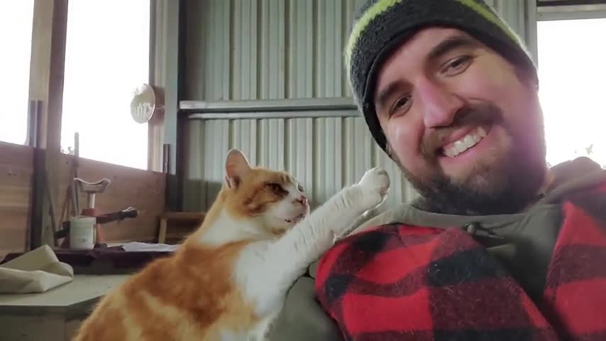 Barn cat men's face......