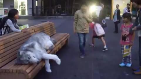 Realistic wolf suit