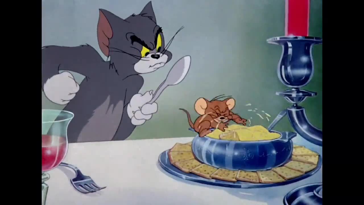 Tom & Jerry pets kids video cartoons video