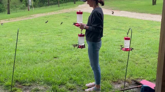 Lady is a Hummingbird Whisperer