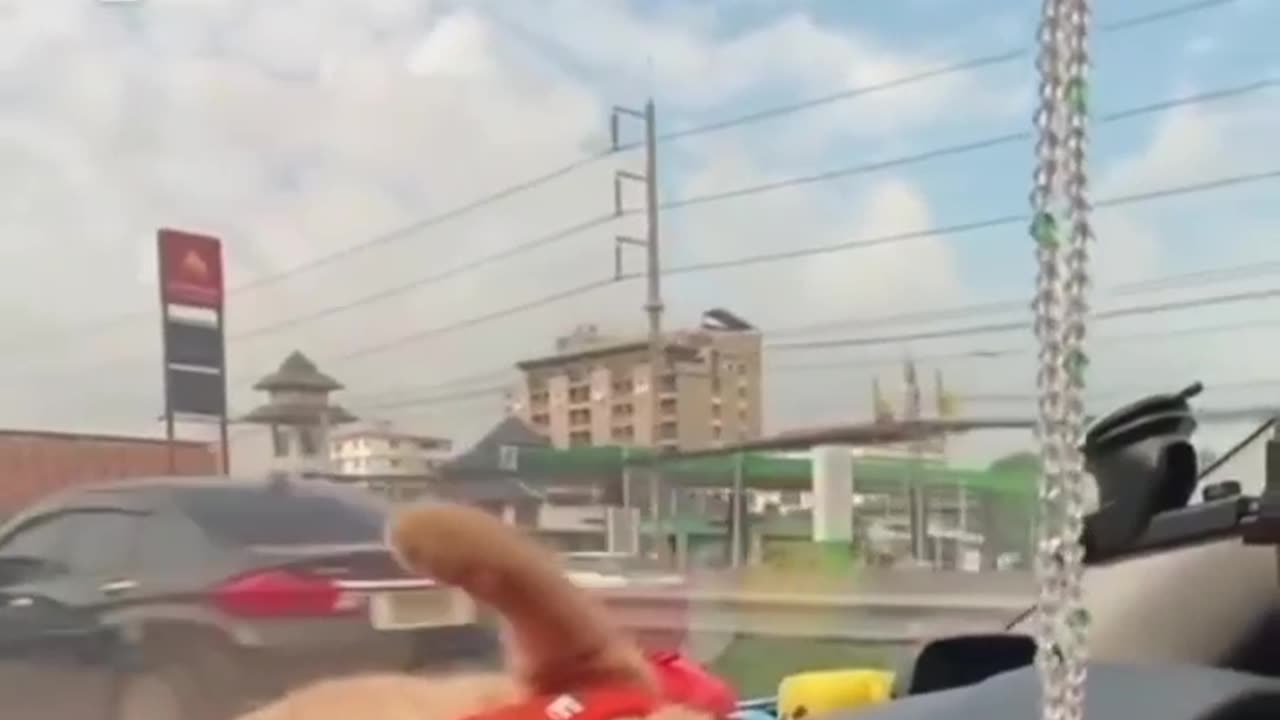 Yyyuuuyiyi