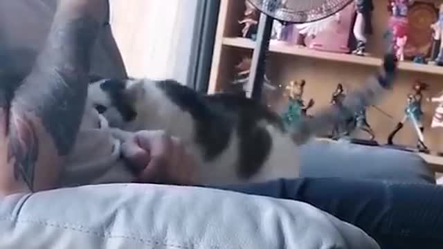 Animals funny moments part 7 #popularvidei