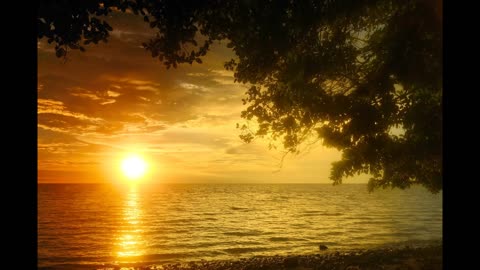 The Moment of Death Then Transition