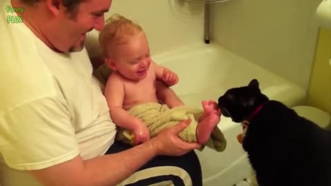 Baby laughing with cute cats