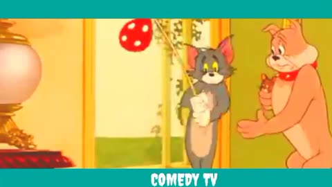 Tom and jerry funny show