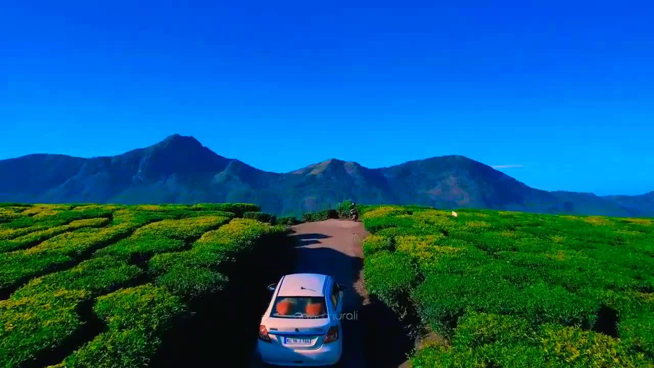 Amazing View