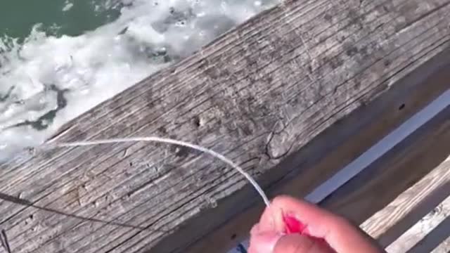 Best bait fishing hack #fishing #fish