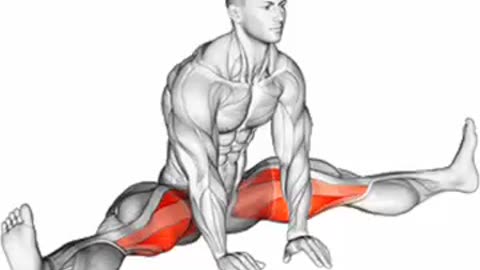 Legs stretch workout at home easy workout for body