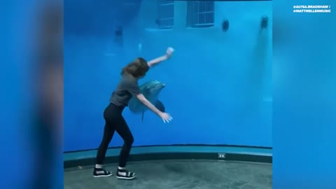 Dolphin Flips With Cartwheeling Woman At Indianapolis Zoo_Cut