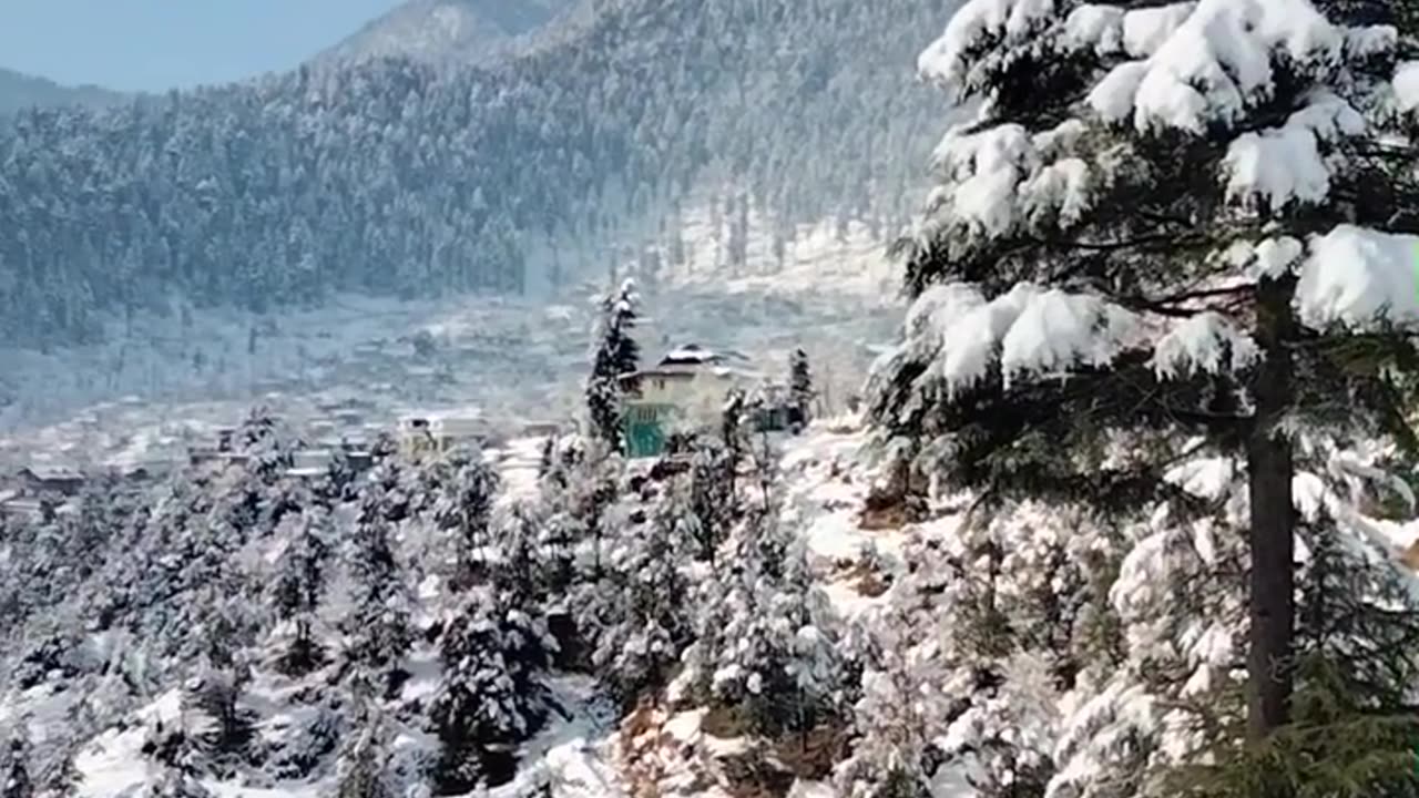 Kashmir beauty