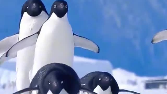 🐥🐥🐥🐥🐥🐥🐥🐥