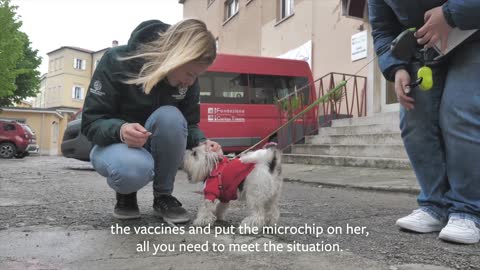 Helping Ukraine refugees and their pets Inna's story