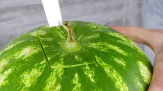 How to Make Watermelon Juice Dispenser