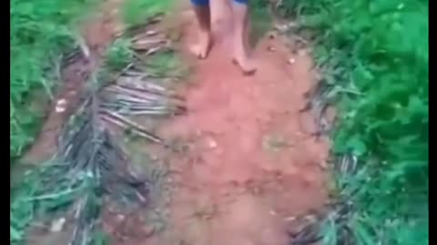 Funny vedeos