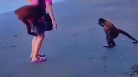 Grandma Reunites with Her Monkeys