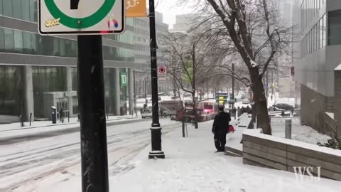 Snow Causes Multi-Vehicle Pileup in Canada