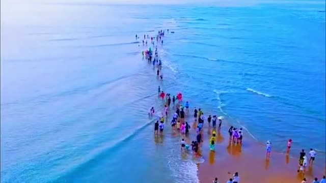Who would you like to travel here with