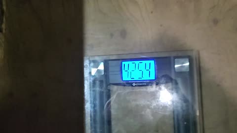 Weigh-In Aug 6, 2023