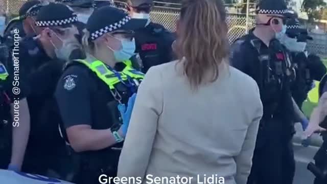 Greens Senator Lidia Thorpe has been filmed Screaming at police accusing them of beingviolent