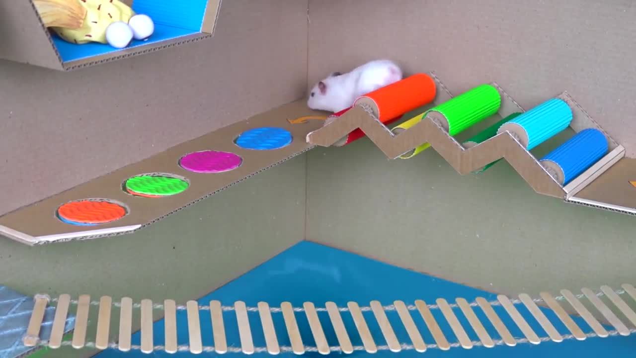 Amazing Hamster Pool Adventure