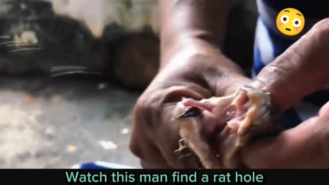 Watch this man find a rat hole | entertainment video