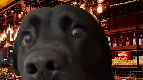 ME ALMOST SOBER LOOKING AT MY BUDDY😳 AT A BAR WHEN HE SAYS HE’S DRIVING US HOME