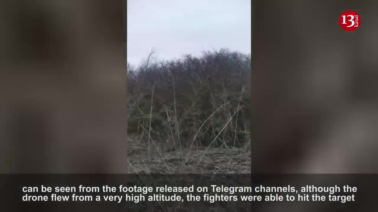 Ukrainian fighter shot down a Russian drone