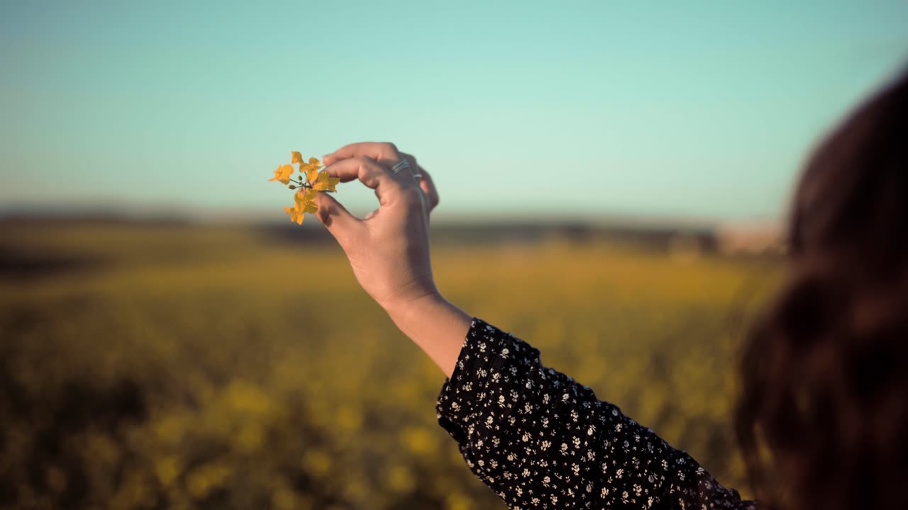 Welcome to Mahasarchivals! In this video, we explore the breathtaking beauty of nature.