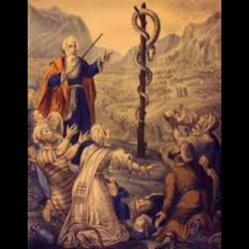 THE $ is The Serpent🐍