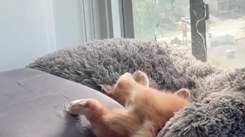 Looking out the window