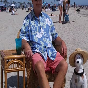 A wayward dog wants to make new friends.